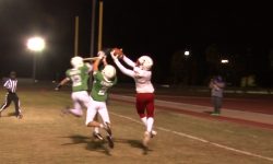 Arizona Sports News online