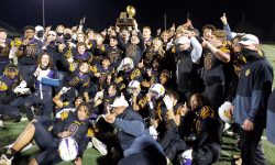 Arizona Sports News online