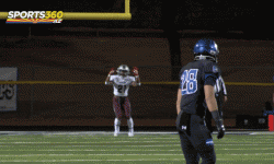 Arizona Sports News online