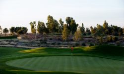 Arizona Sports News online