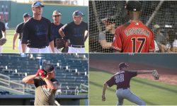 Arizona Sports News online