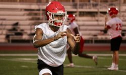 Arizona Sports News online