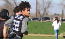 Arizona Sports News online