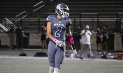 Arizona Sports News online