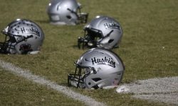 Arizona Sports News online