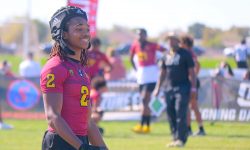 Jaci Dickerson - Saguaro