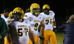 Arizona Sports News online