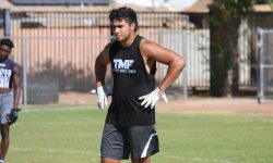 Arizona Sports News online