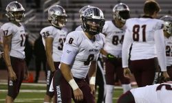 Arizona Sports News online