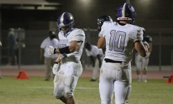 Arizona Sports News online