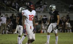 Arizona Sports News online