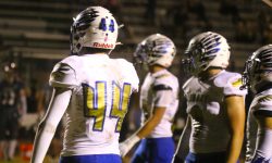 Arizona Sports News online