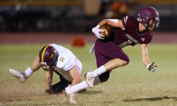 Arizona Sports News online