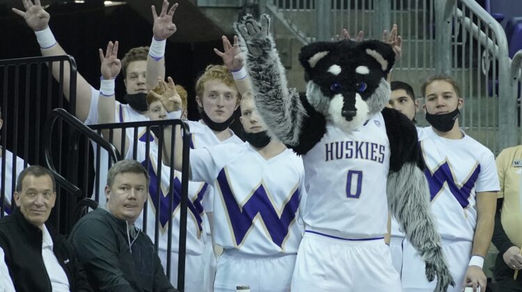 Washington Husky Coaching Search: An In-Depth Guide